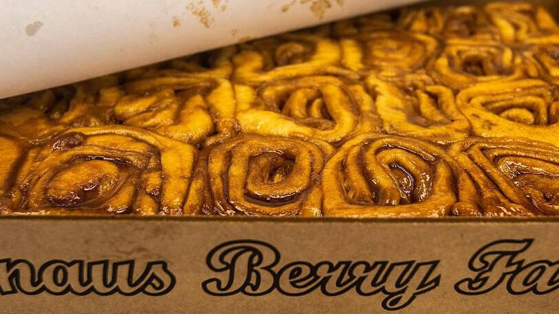 Knaus Berry Farm opens for its 70th season with changes to how customers can get its famous cinnamon rolls — CBS Miami, Wellington Business news