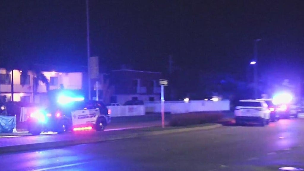 Woman accused of killing man in Dania Beach hit-and-run, BSO says — CBS Miami, Wellington Community news