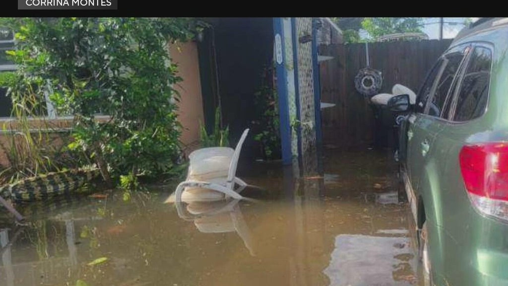 Residents say fear of inspections, paperwork keep many from applying for flood recovery grants — CBS Miami, Wellington Community news