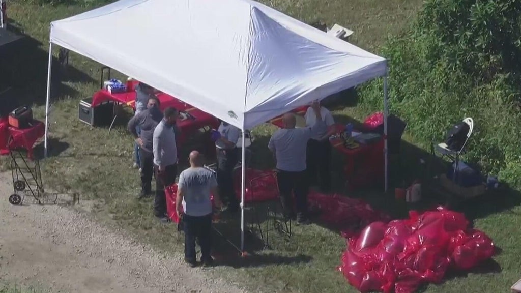 2 men accused of taking part in illegal cockfighting ring, MDSO says — CBS Miami, Wellington Community news
