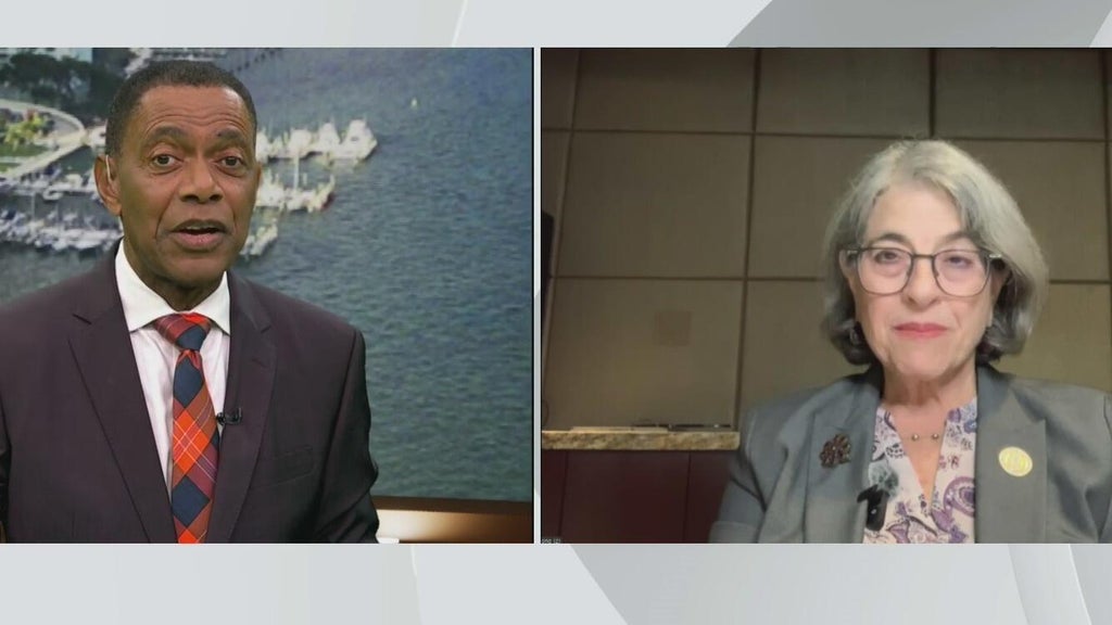 Miami-Dade mayor Daniella Levine Cava speaks on Amendment 3 opposition and county budget woes — CBS Miami, Wellington Government news