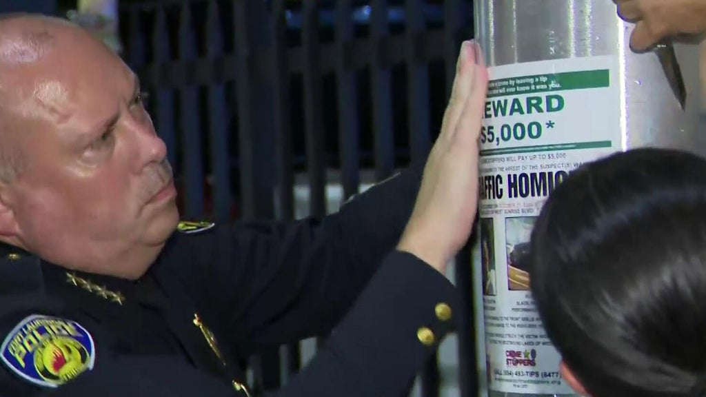 Family of woman killed in Fort Lauderdale hit-and-run hands out flyers, seeks help finding driver — Wellington Arts news