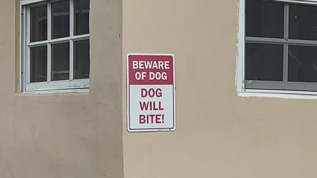 Dog who bit girl in northwest Miami-Dade taken into Animal Services custody — CBS Miami, Wellington Community news