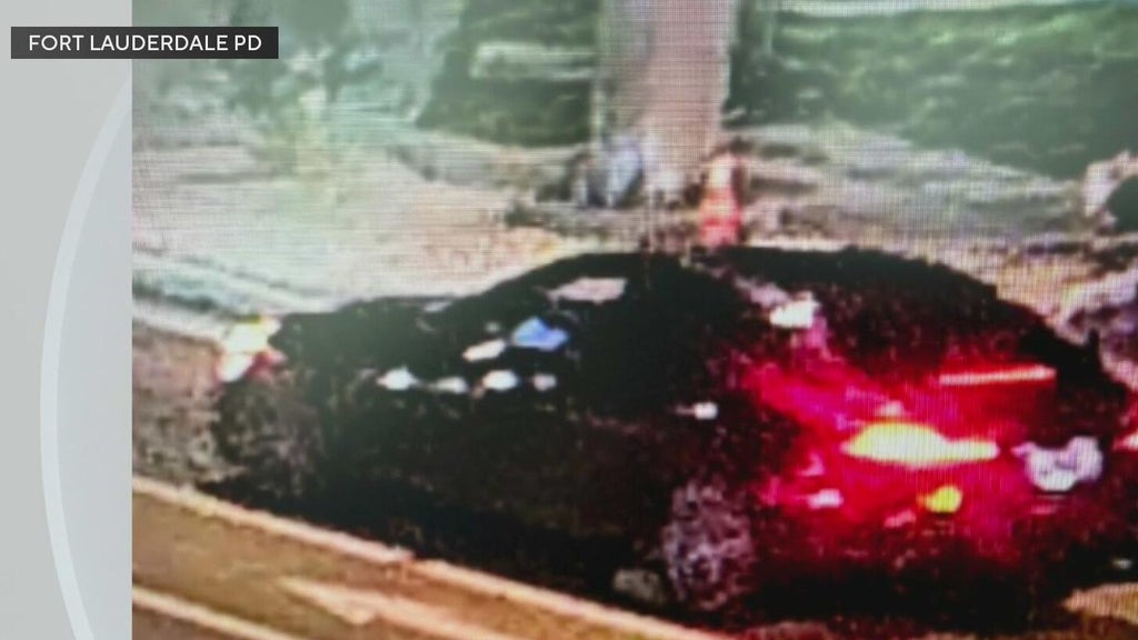 Police seek Mercedes in deadly Fort Lauderdale hit-and-run — CBS Miami, Wellington Community news