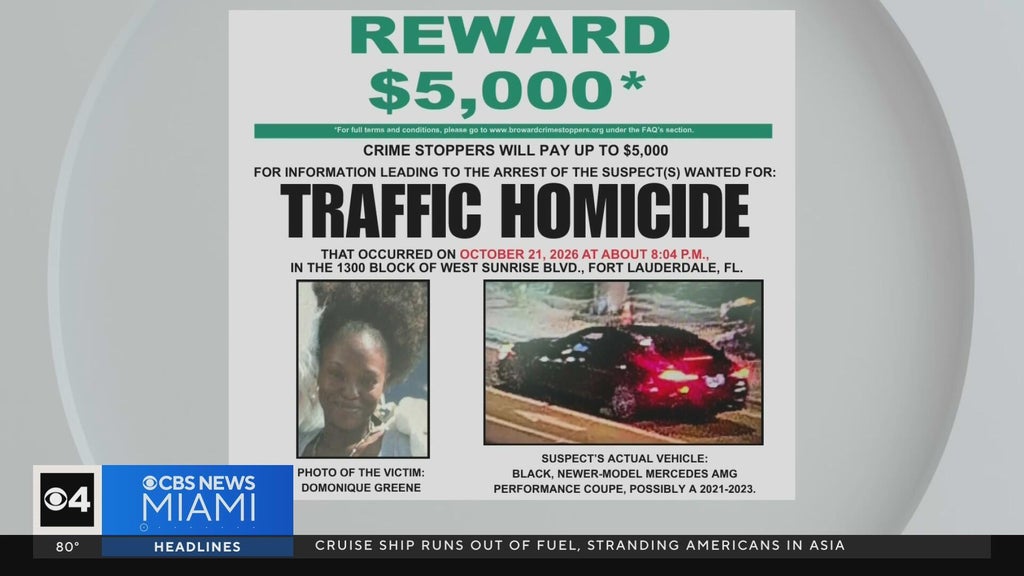 Family of Fort Lauderdale mom killed in hit-and-run pleads for help finding driver — Wellington Community news