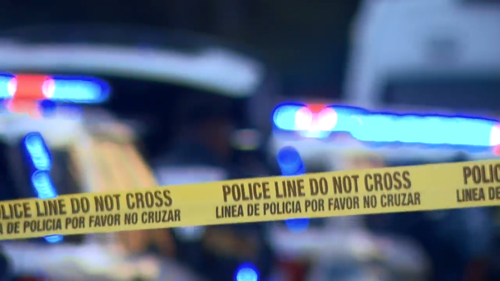 Man accused of stabbing, killing his own mother in Tamarac, BSO says — CBS Miami, Wellington Community news