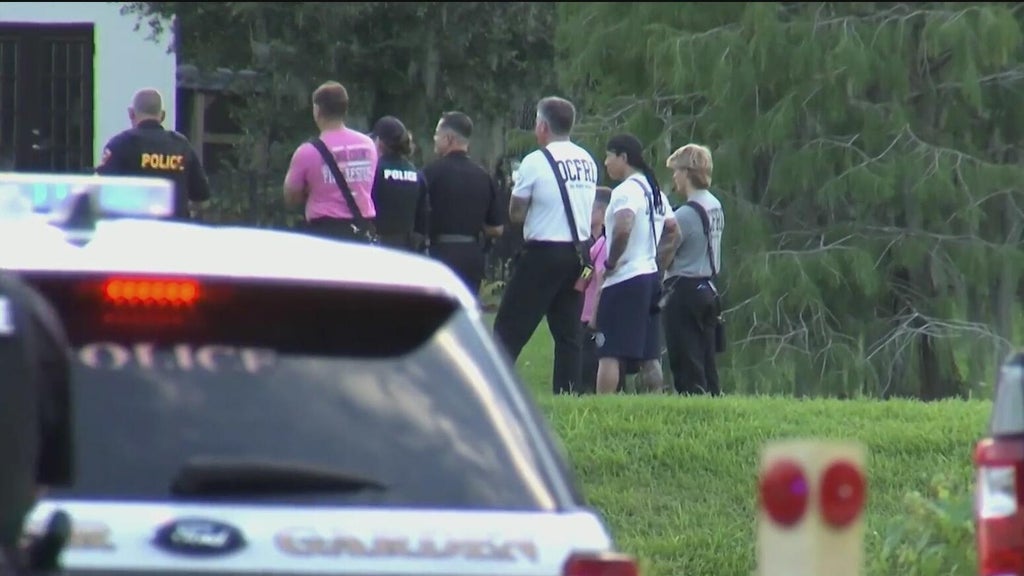 12-foot alligator kills 71-year-old man fishing in Florida lake — CBS Miami, Wellington Community news