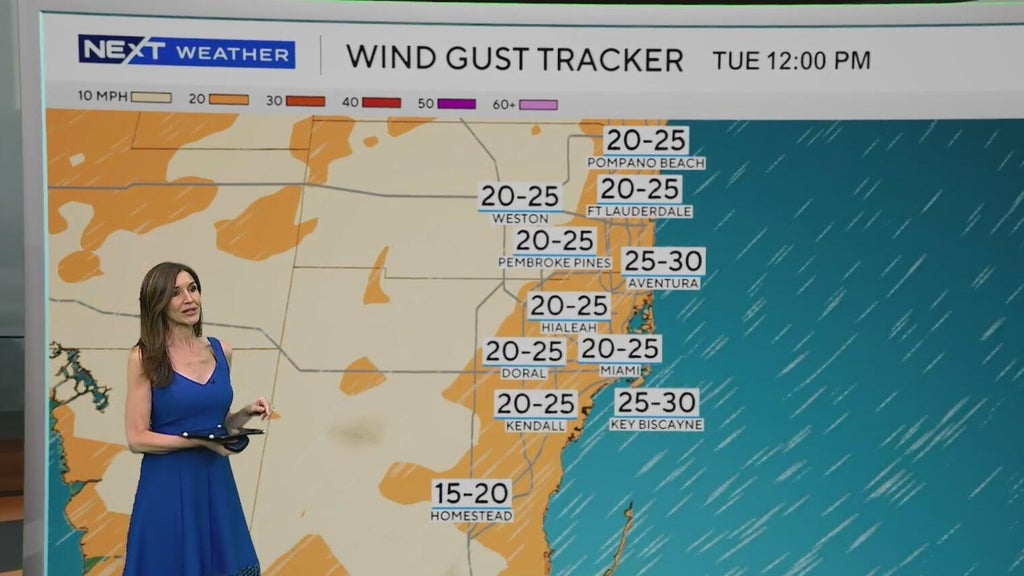 Windy, drier week ahead of taste of fall South Florida style — CBS Miami, Wellington Community news