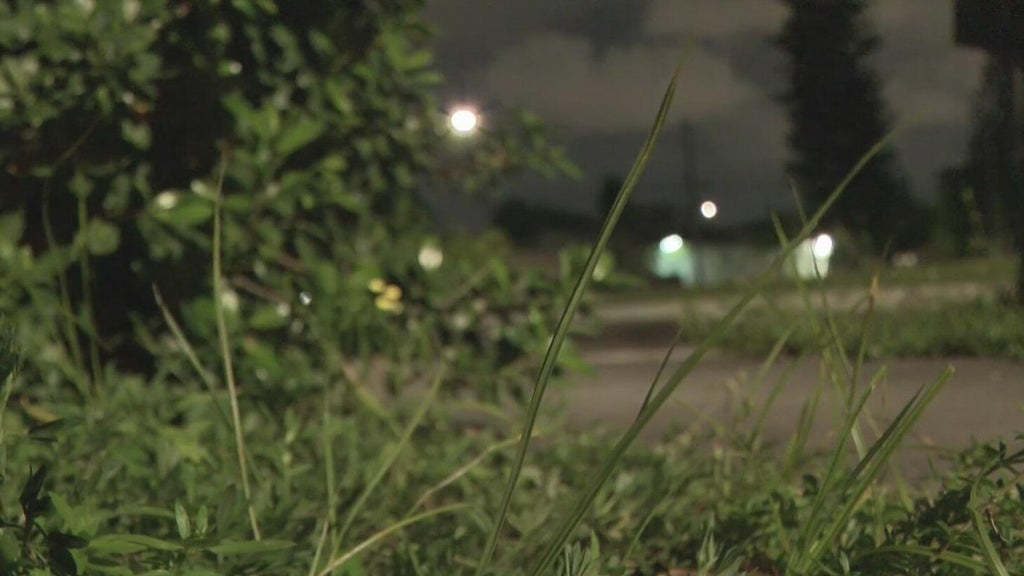 Broward mother says she went months without update after reporting man outside her window — CBS Miami, Wellington Real Estate news