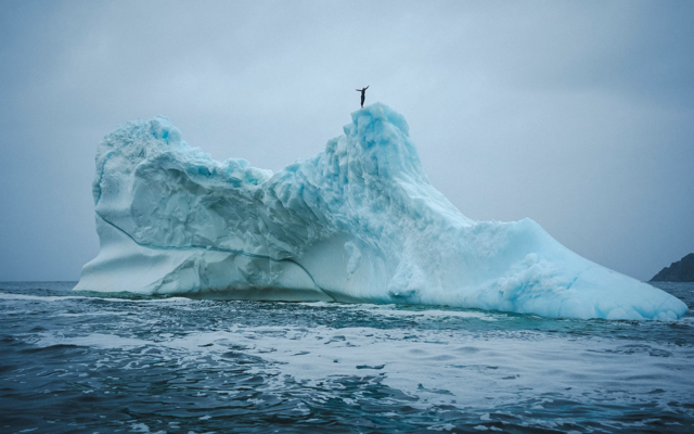 Cliff diver Molly Carson makes history, becomes first woman to dive off iceberg — WPBF Sports Palm Beach, Wellington Sports news