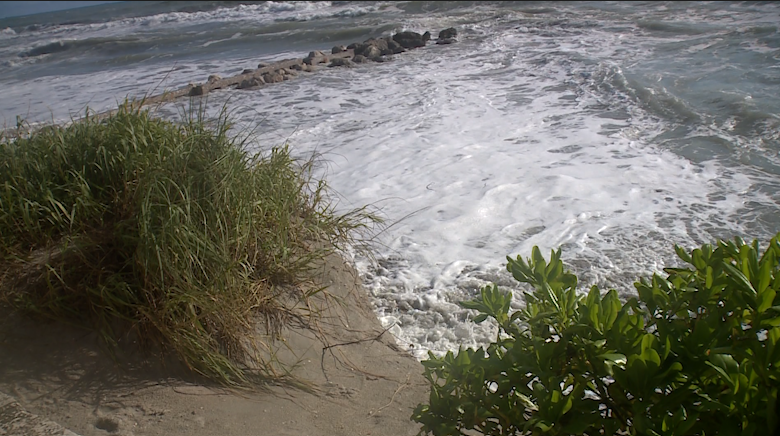 King tide pushes water to the seawall at Midtown Beach — Wellington Community news