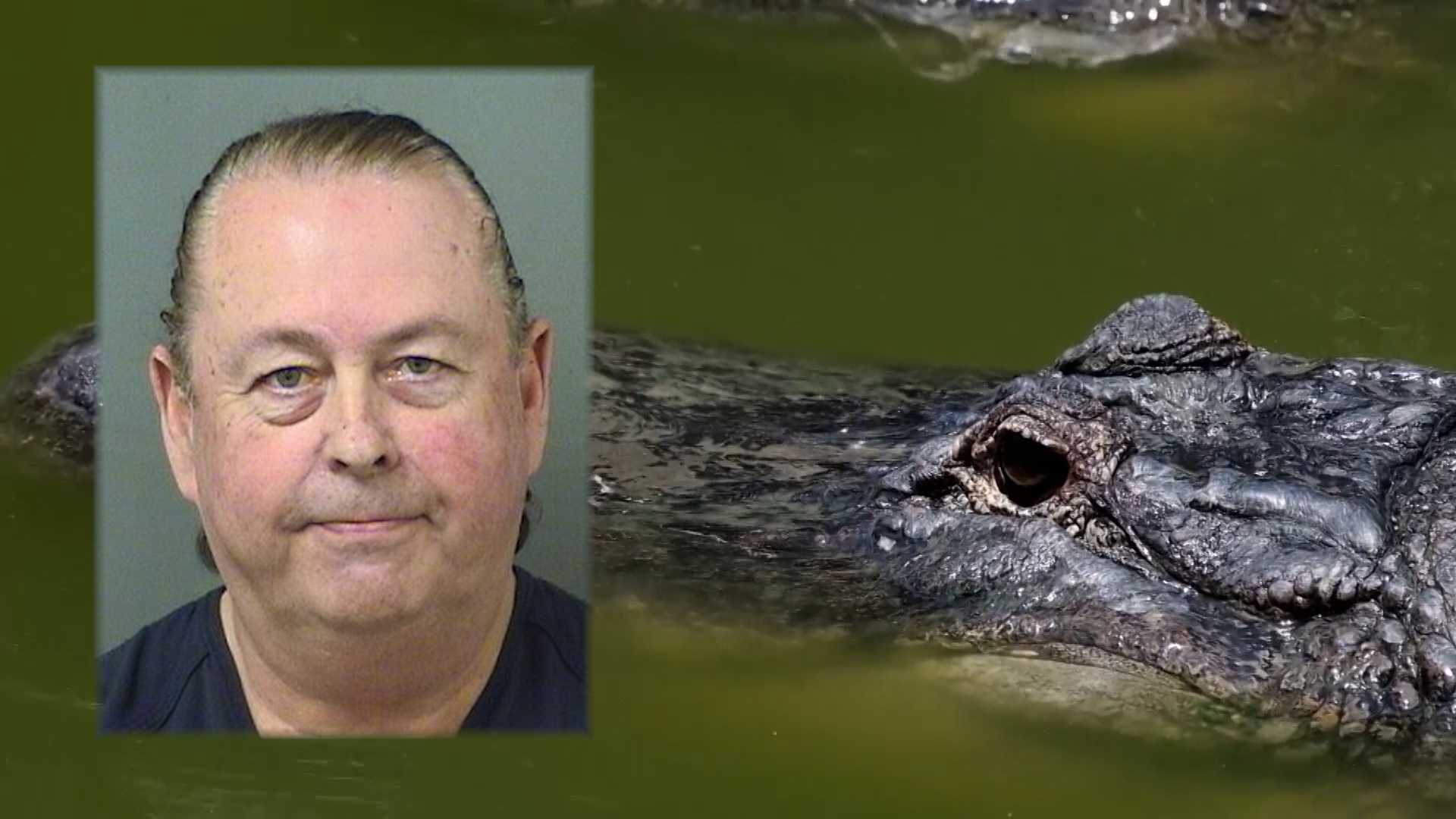 Florida businessman accused of killing alligator with hammer appears in court — WPBF West Palm Beach, Wellington Business news