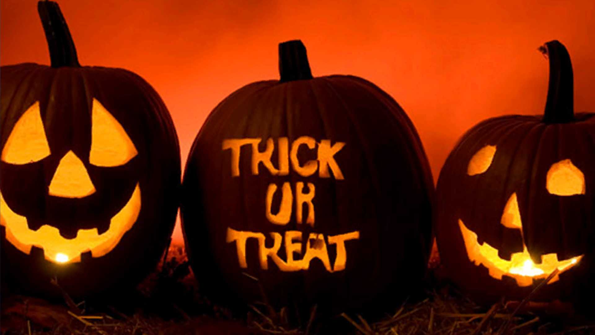 Halloween fun across the Treasure Coast and Palm Beach — WPBF West Palm Beach, Wellington Arts news