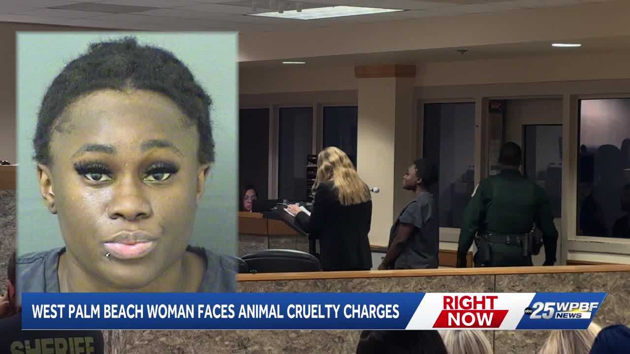 West Palm Beach woman faces aggravated animal cruelty after death of Yorkshire terrier — WPBF West Palm Beach, Wellington Community news