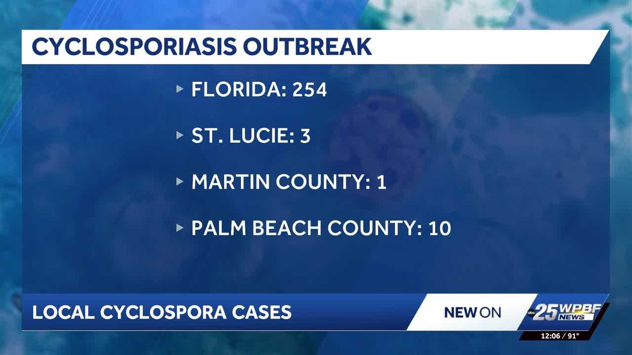 Cyclospora cases rise in Florida, with Palm Beach County leading locally — WPBF West Palm Beach, Wellington Community news