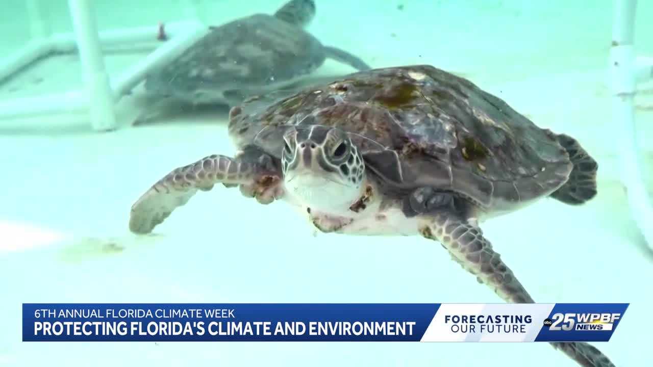 Florida Climate Week brings focus to environmental challenges and ocean research — WPBF West Palm Beach, Wellington Community news